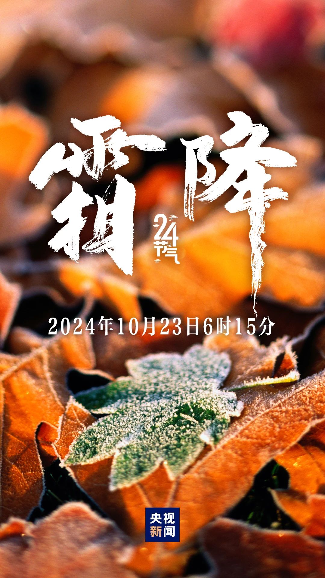 秋季最后一個節氣，來了